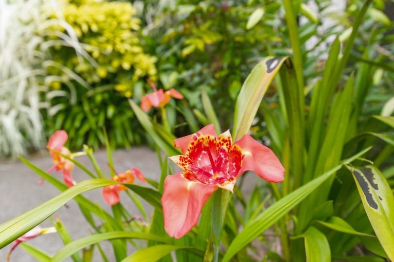 Photo of property in 75 Liverpool Street, Levin, 5510