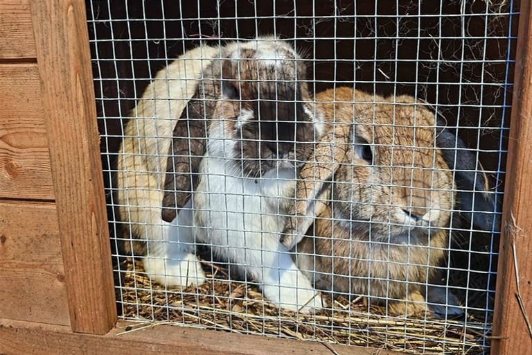 Photo of property in 24 Otakau Road, Milford, Auckland, 0620