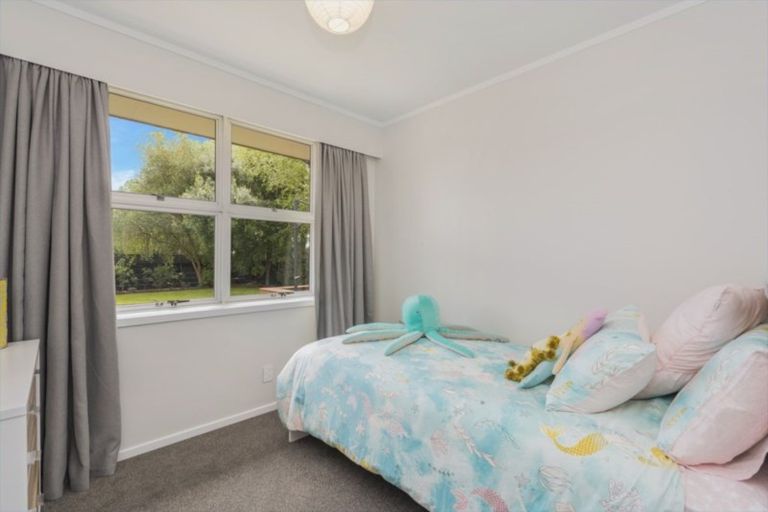 Photo of property in 50 Bernard Street, Chedworth, Hamilton, 3210