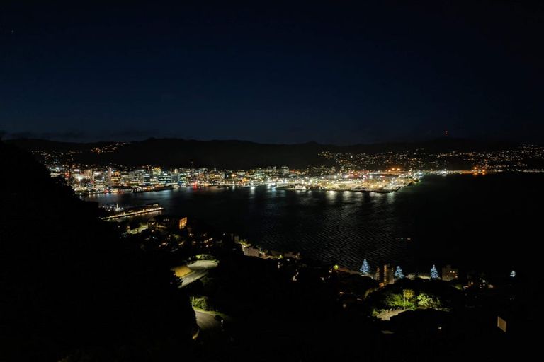 Photo of property in 39 Robieson Street, Roseneath, Wellington, 6011