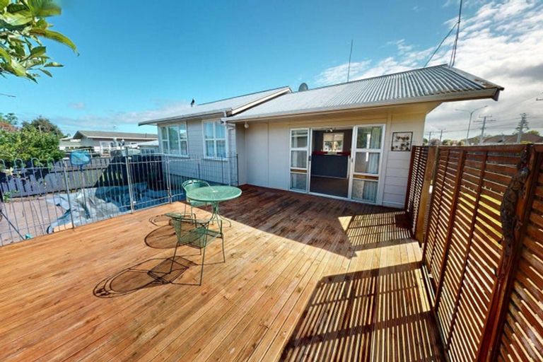 Photo of property in 101 Tiro Tiro Road, Levin, 5510