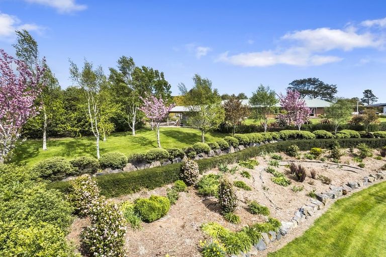 Photo of property in 8 Wavy Knowes Drive, Waldronville, Dunedin, 9018