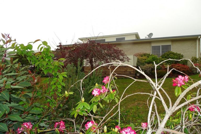 Photo of property in 1 Ohinemuri Place, Paeroa, 3600