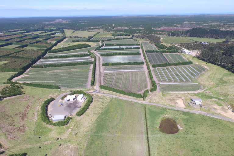 Photo of property in 3167 State Highway 1, Pukenui, Kaitaia, 0484