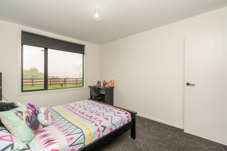 Photo of property in 54 O'shea Road, Pirongia, Te Awamutu, 3876