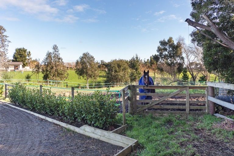 Photo of property in 119 Cemetery Road, Sanson, Palmerston North, 4479