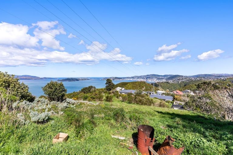 Photo of property in 51 Edgecombe Street, Newlands, Wellington, 6037