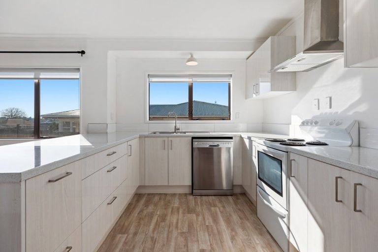 Photo of property in 8a Lincoln Terrace, Gate Pa, Tauranga, 3112