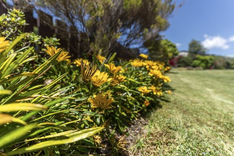 Photo of property in 11 Leon Place, Waitara, 4320