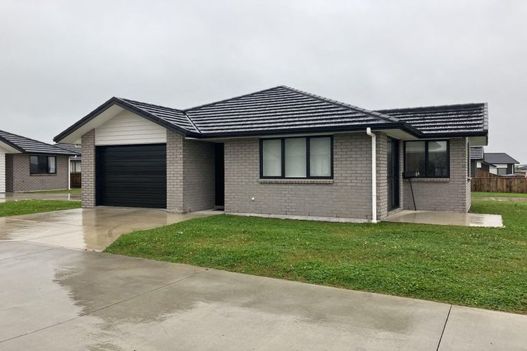 Photo of property in 69 Hinemoa Street, Levin, 5510