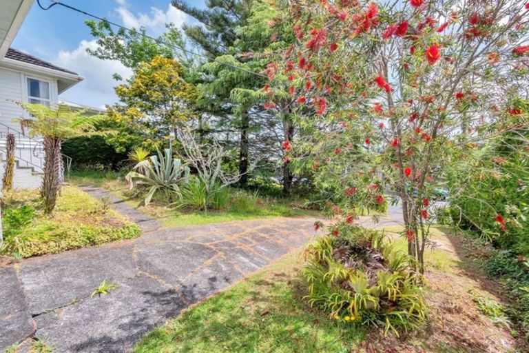 Photo of property in 44 Selwyn Crescent, Forrest Hill, Auckland, 0620