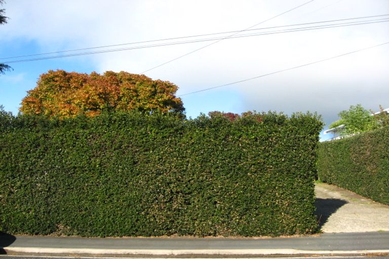 Photo of property in 64 Maryhill Terrace, Maryhill, Dunedin, 9011