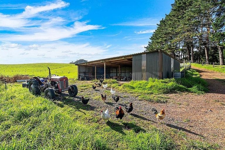 Photo of property in 533 Pataua South Road, Pataua South, Onerahi, 0192