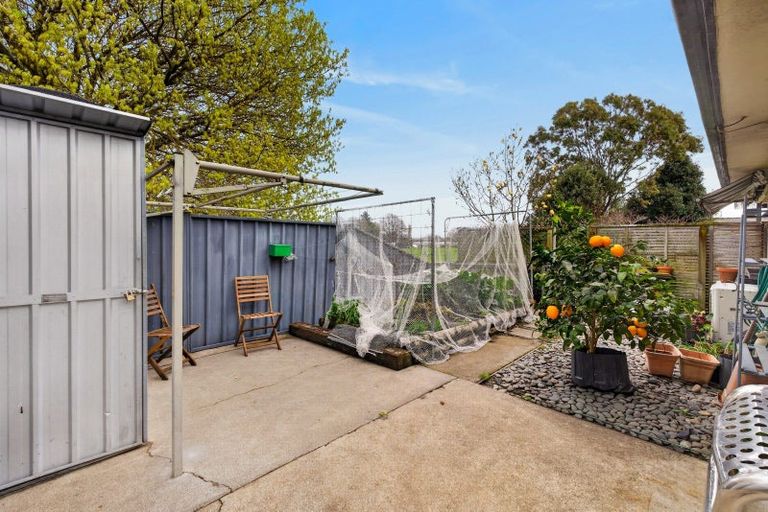 Photo of property in 8 Phoenix Place, Havelock North, 4130