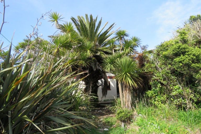 Photo of property in 109 Beach Road, Charleston, Cape Foulwind, 7892