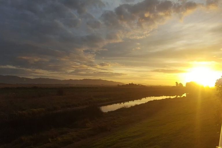 Photo of property in 54 Gibson Place, Papamoa Beach, Papamoa, 3118