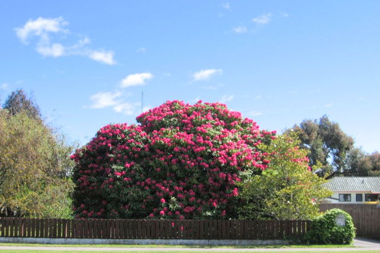 Photo of property in 44 Rotokawa Street, Taupo, 3330