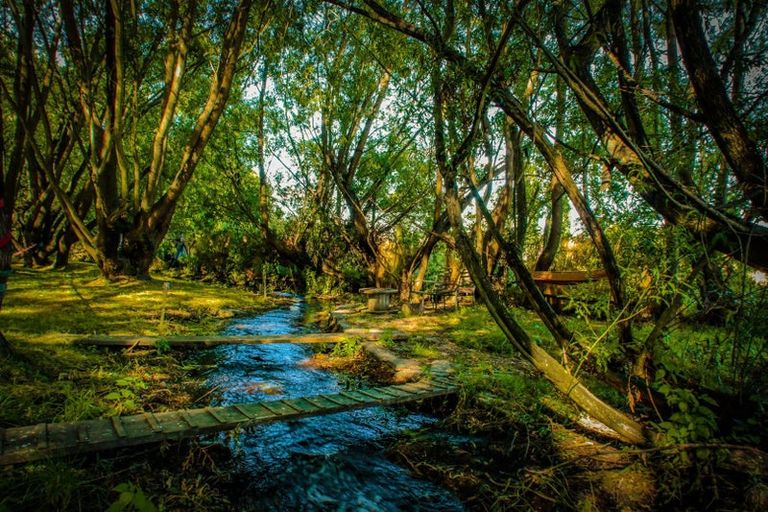 Photo of property in 41 Monteith Road, Albert Town, Wanaka, 9382