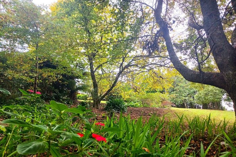 Photo of property in 47 Ness Road, Waipapa, Kerikeri, 0295