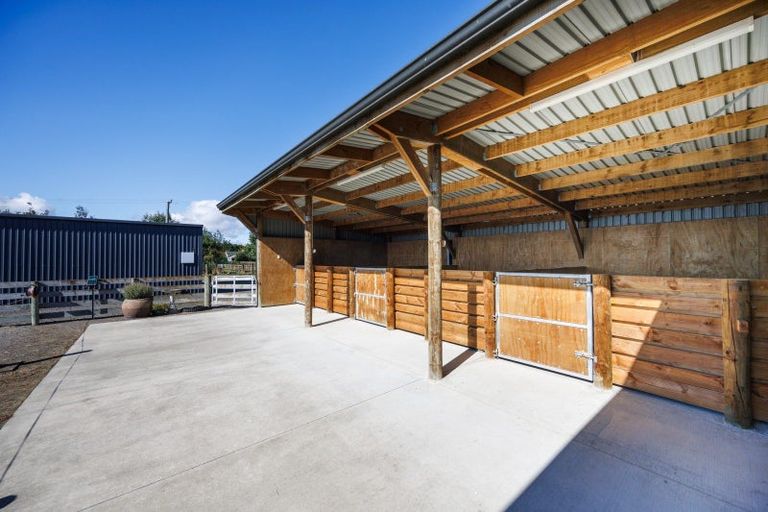 Photo of property in 79 Jackeytown Road, Tiakitahuna, Palmerston North, 4477