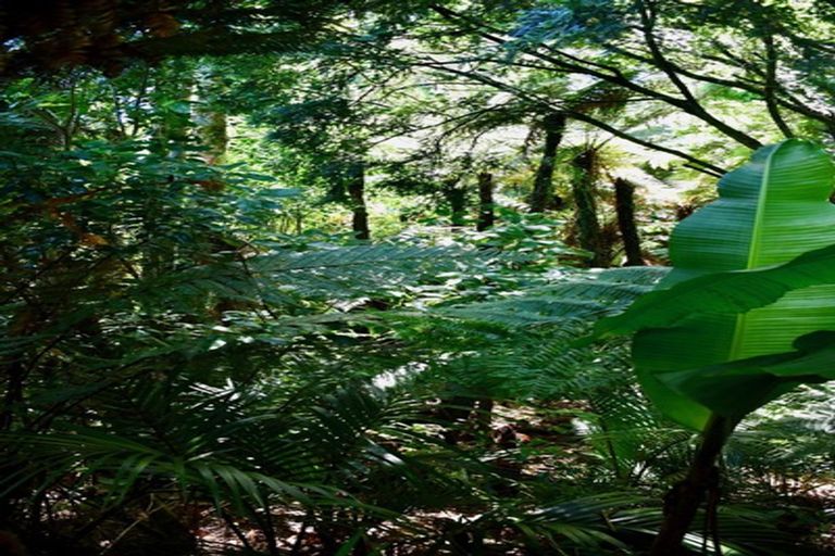 Photo of property in 21 Horncastle Crescent, Little Wanganui, Karamea, 7893