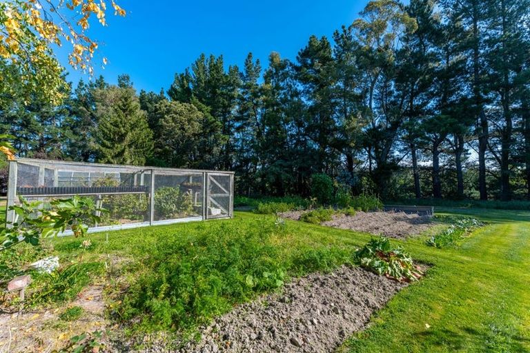 Photo of property in 193 Hadlow Road, Claremont, Timaru, 7974