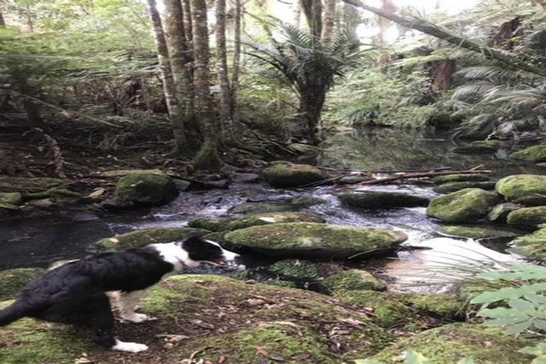 Photo of property in 409 Puketotara Road, Waipapa, Kerikeri, 0295