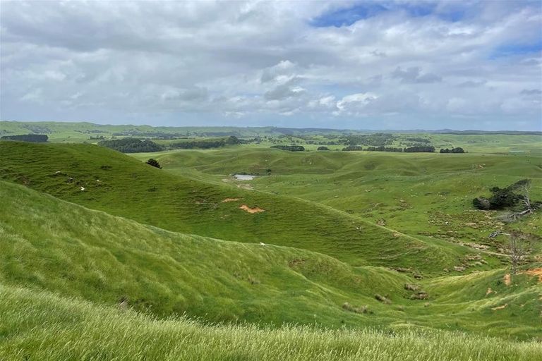 Photo of property in 899 Te Akau Road, Te Akau, Ngaruawahia, 3793