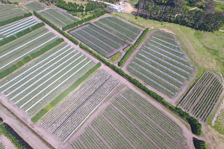 Photo of property in 3167 State Highway 1, Pukenui, Kaitaia, 0484