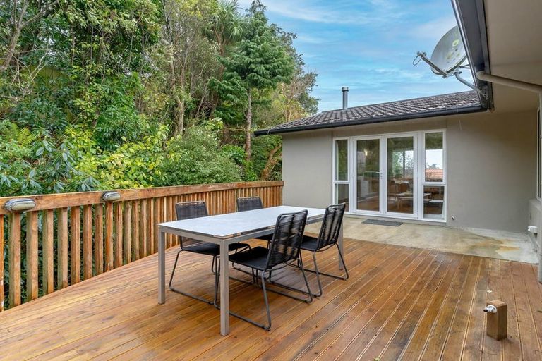 Photo of property in 45 Leven Street, Roslyn, Dunedin, 9010