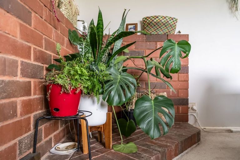 Photo of property in 126 Fordyce Road, Parakai, Helensville, 0874