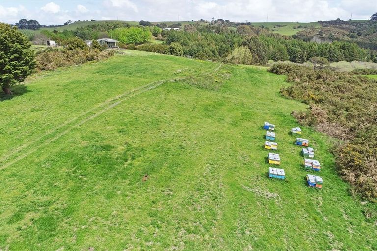 Photo of property in 242 Punga Punga Road, Pukekawa, 2696