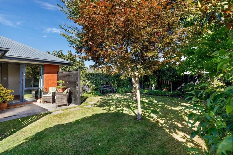 Photo of property in 44 Tremorne Avenue, Blenheim, 7201