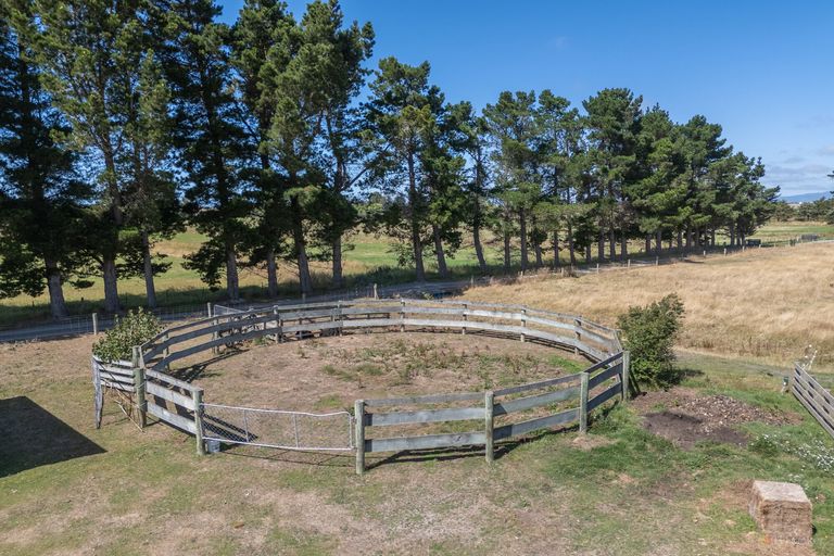 Photo of property in 50 Webb Road, Saint Andrews, Timaru, 7972