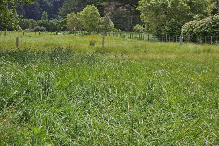 Photo of property in 39 Newman Road, Eketahuna, 4900