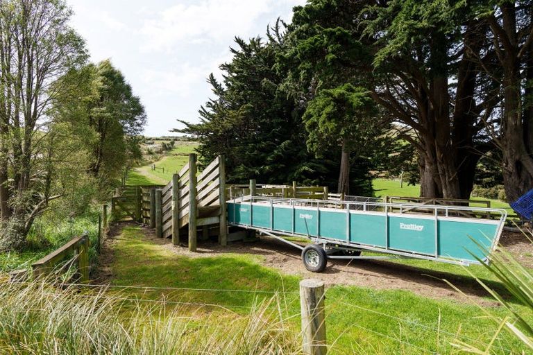 Photo of property in 351 Saddle Hill Road, Scroggs Hill, Dunedin, 9076