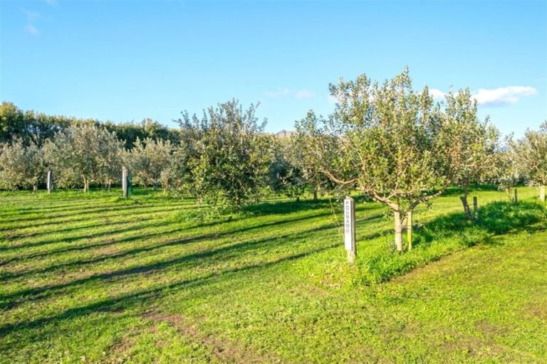 Photo of property in 280 Tyntesfield Road, Waihopai Valley, Blenheim, 7276