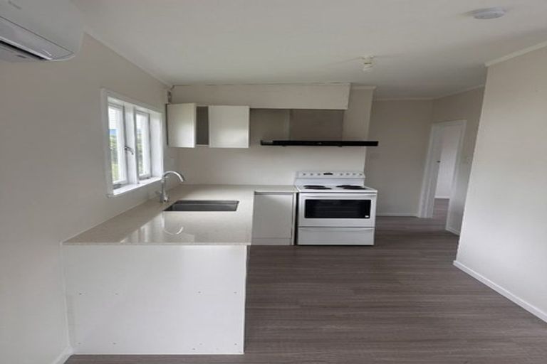 Photo of property in 17 Tomo Street, New Lynn, Auckland, 0600