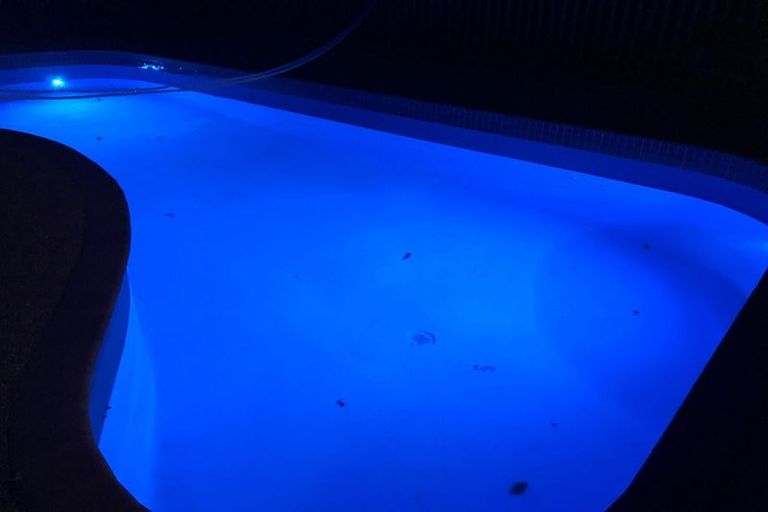 Photo of property in 39 Fitzroy Road, Bluff Hill, Napier, 4110