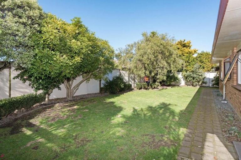 Photo of property in 46a Sunrise Avenue, Mount Maunganui, 3116