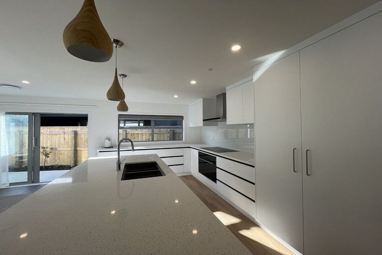 Photo of property in 197 John Burke Drive, Aotea, Porirua, 5024