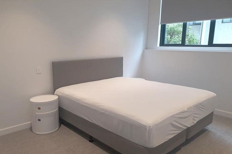 Photo of property in 203/60 Mary Street, Mount Eden, Auckland, 1024