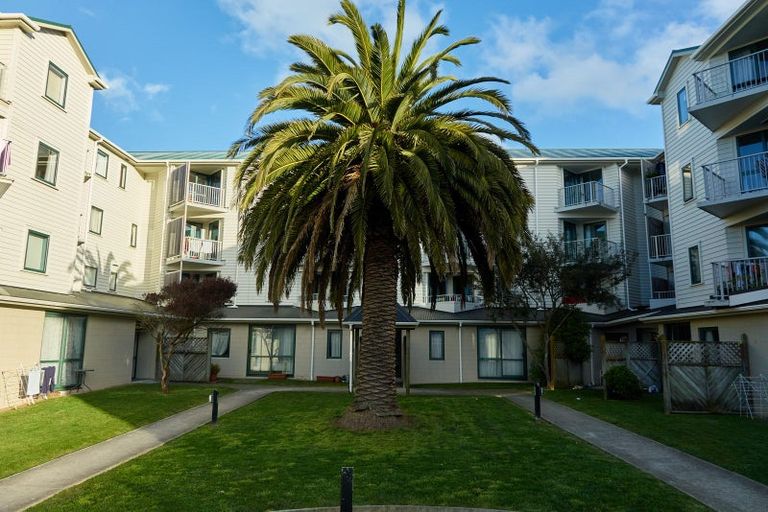 Photo of property in Palm Grove Apartments, 2/13c Palm Grove, Berhampore, Wellington, 6023