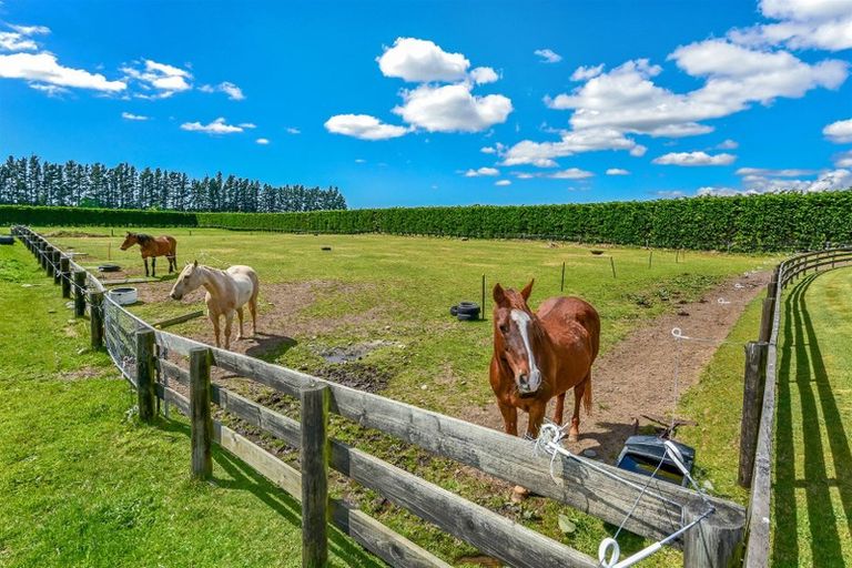 Photo of property in 288 Bells Road, West Melton, Christchurch, 7671