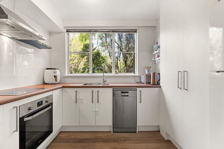 Photo of property in 39a Opoho Road, North East Valley, Dunedin, 9010