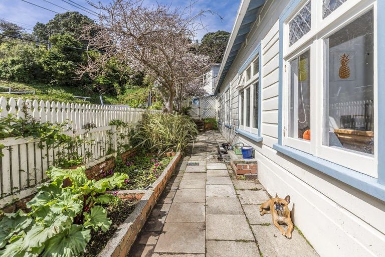 Photo of property in 26 Butt Street, Brooklyn, Wellington, 6021
