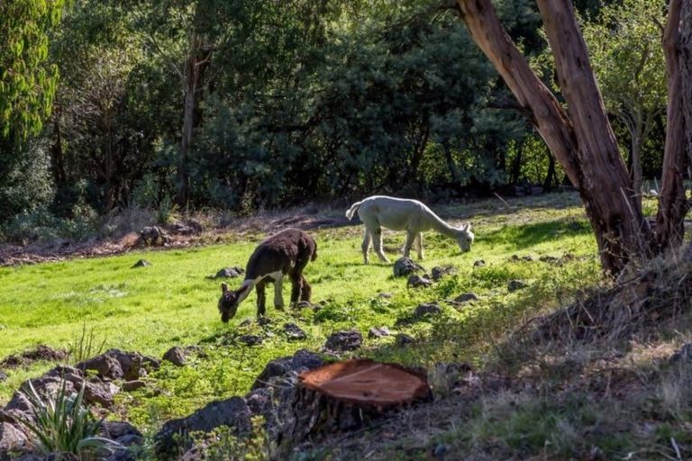 Photo of property in 21 Pentre Terrace, Cashmere, Christchurch, 8022