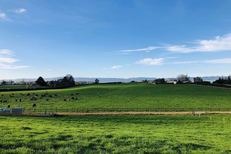 Photo of property in 486 Okoroire Road, Okoroire, Tirau, 3485