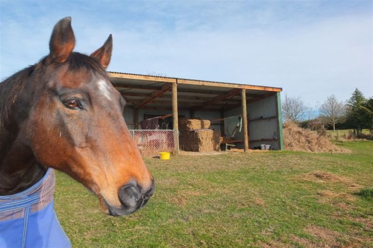 Photo of property in 186 Claremont Road, Otipua Creek, Timaru, 7974