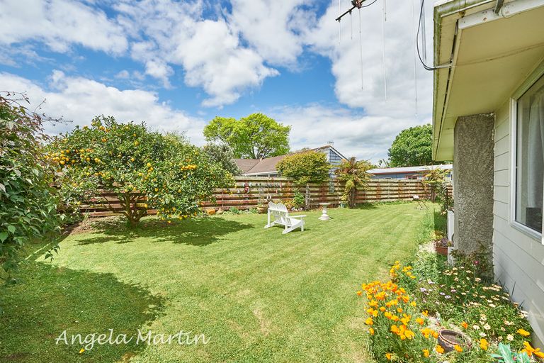 Photo of property in 83 Worcester Street, Ashhurst, 4810